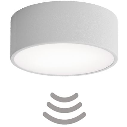 Brilagi - Laevalgusti anduriga CLARE 1xE27/40W/230V d. 20 cm hall