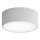 Brilagi - Laevalgusti CLARE 1xE27/24W/230V d. 20 cm hall