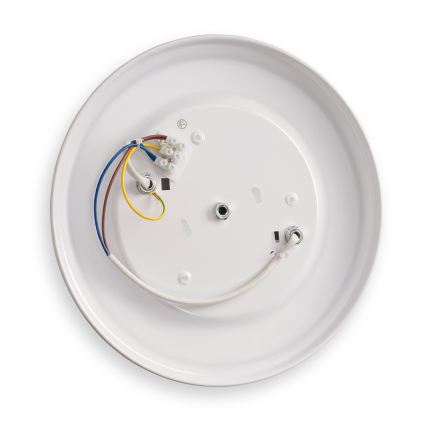 BRILAGI - Laevalgusti FRESCO 2xE27/40W/230V läbimõõt 30 cm kuldne