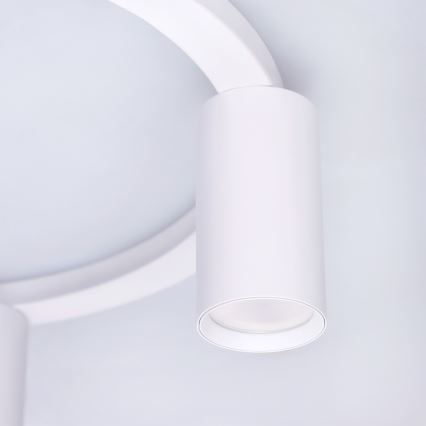 BRILAGI - Laevalgusti SELE 4xGU10/30W/230V valge