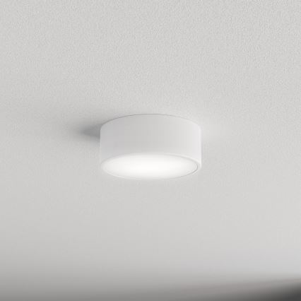 Brilagi - Laevalgusti vannituppa CLARE 1xE27/24W/230V d. 20 cm IP54 valge