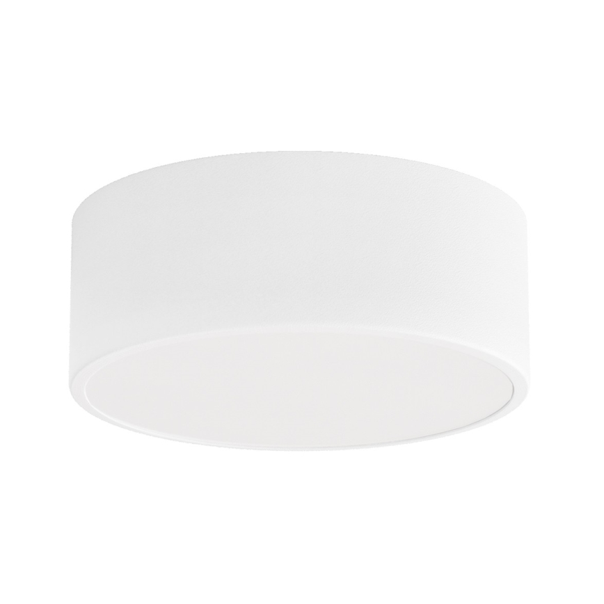Brilagi - Laevalgusti vannituppa CLARE 1xE27/24W/230V d. 20 cm IP54 valge