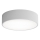Brilagi - Laevalgusti vannituppa CLARE 2xE27/24W/230V d. 30 cm IP54 hall