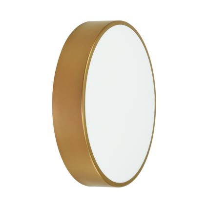 Brilagi - Laevalgusti vannituppa CLARE 2xE27/24W/230V d. 40 cm IP54 kuldne