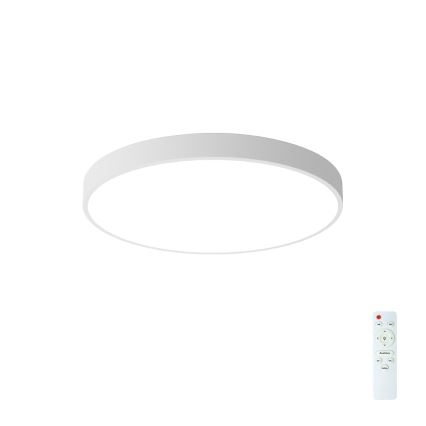 Brilagi - LED dimmeriga laelamp POOL LED/60W/230V 3000-6000K pr. 60 cm valge + kaugjuhtimispult