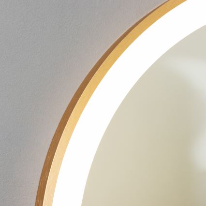 Brilagi - Vannitoa LED-peegel ERBA LED/25W/230V 50x80 cm, kuldne, IP44, CRI 90, hämardatav + CCT