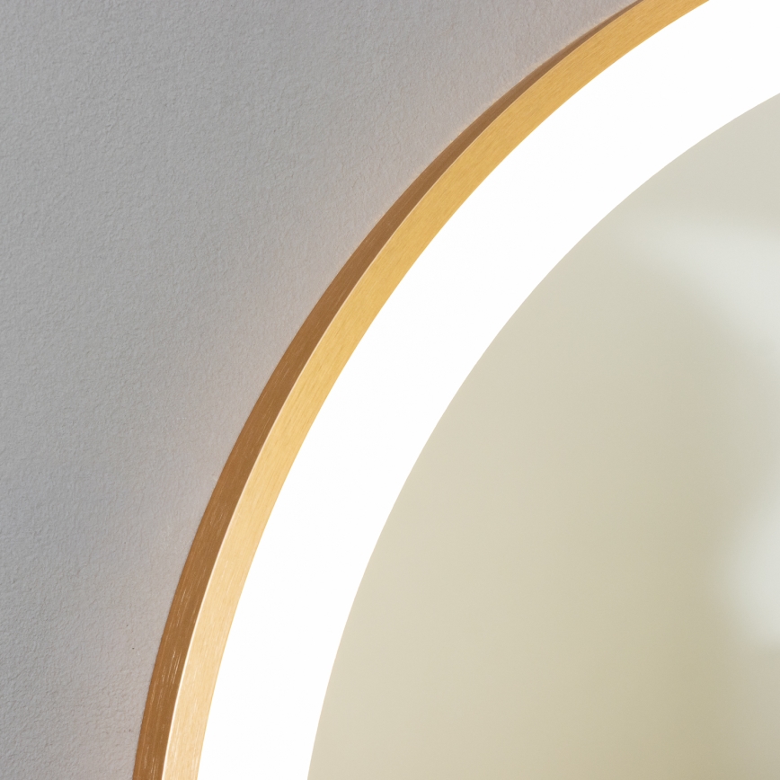 Brilagi - Vannitoa LED-peegel ERBA LED/25W/230V 50x80 cm, kuldne, IP44, CRI 90, hämardatav + CCT