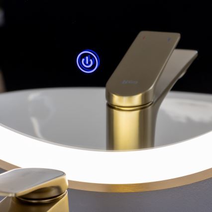 Brilagi - Vannitoa LED-peegel ERBA LED/25W/230V 50x80 cm, kuldne, IP44, CRI 90, hämardatav + CCT