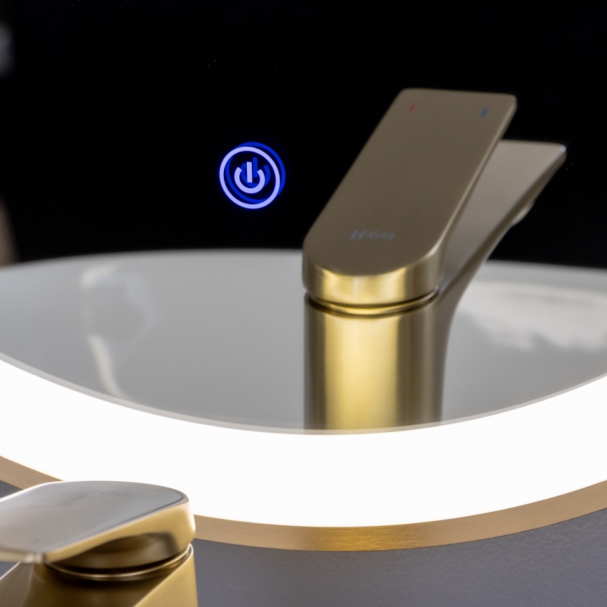 Brilagi - Vannitoa LED-peegel ERBA LED/25W/230V 50x80 cm, kuldne, IP44, CRI 90, hämardatav + CCT