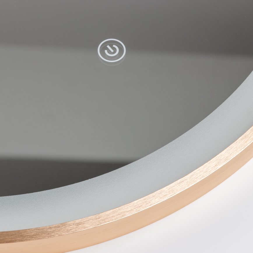 Brilagi - Vannitoa LED-peegel ERBA LED/25W/230V 50x80 cm, kuldne, IP44, CRI 90, hämardatav + CCT