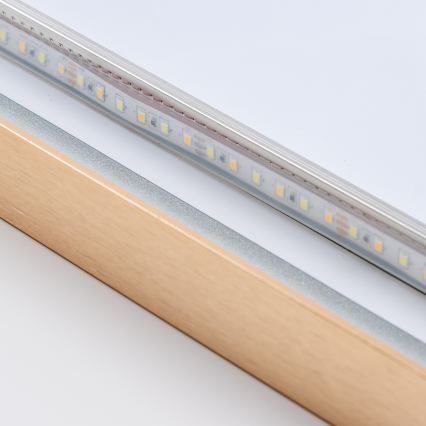 Brilagi - Vannitoa LED-peegel ERBA LED/25W/230V 50x80 cm, kuldne, IP44, CRI 90, hämardatav + CCT