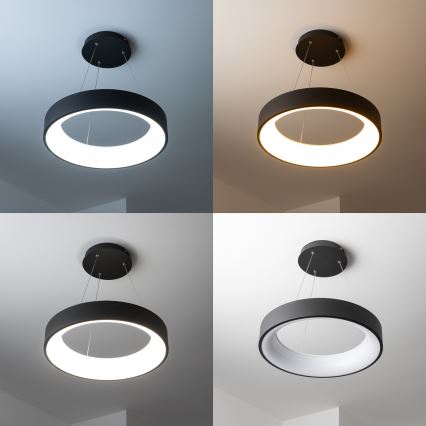 Brilagi - LED hämardatav rippvalgusti kaablil FALCON LED/80W/230V 3000-6500K läbimõõt 60 cm must + kaugjuhtimispult