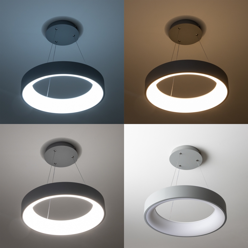 Brilagi - LED-hämardatav ripatsvalgusti kaablil FALCON LED/80W/230V 3000-6500K läbimõõt 60 cm hall + kaugjuhtimispult