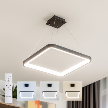 Brilagi - LED hämardatav kaabliga riputatav lühter FALCON SLIM LED/50W/230V 3000-6500K 50x50 cm must + kaugjuhtimispult