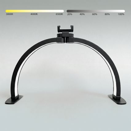BRILAGI - LED hämardatav mudelimeistri kaarkujuline laualamp hoidikuga RADIO LED/25W/24/230V 3000/4000/6500K must