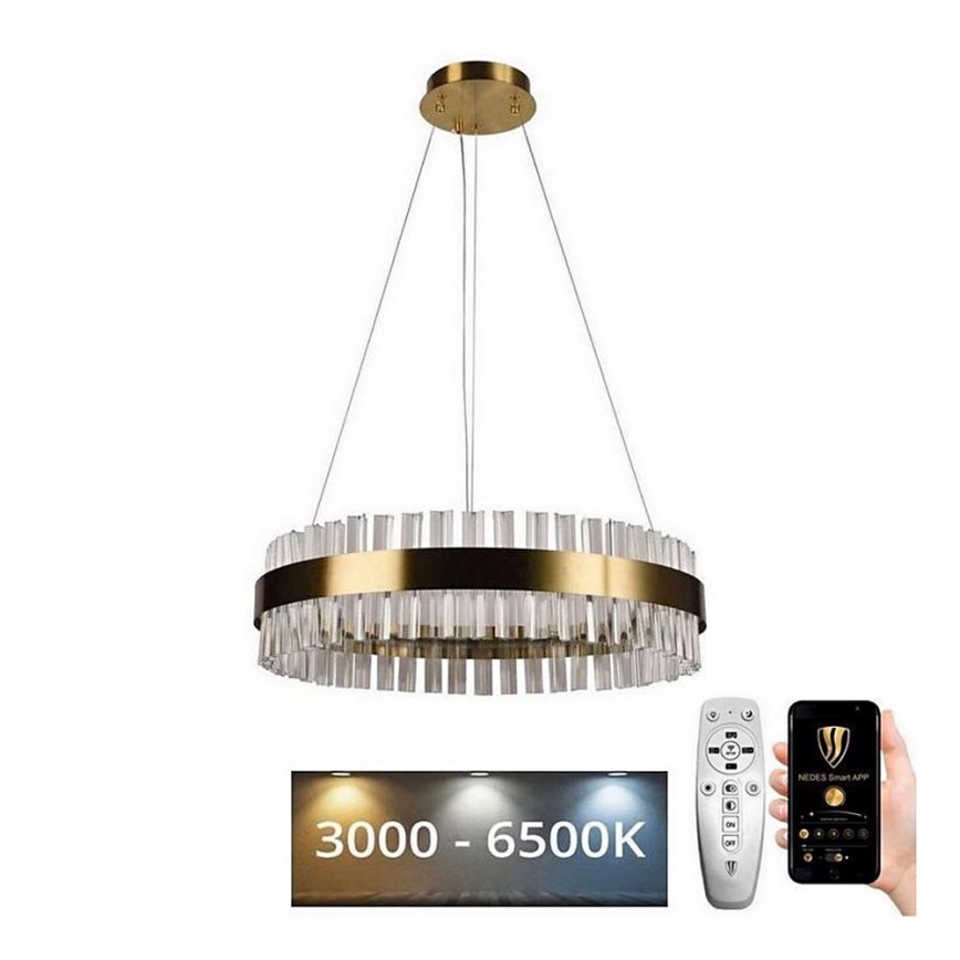 Brilagi - LED Hämardatav kristall Lühter nööril HALO LED/40W/230V + kaugjuhtimispult