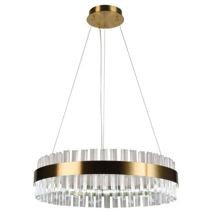 Brilagi - LED Hämardatav kristall Lühter nööril HALO LED/40W/230V + kaugjuhtimispult