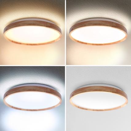 Brilagi - Hämardatav laelamp ALSON LED/48W/230V 3000-6500K, tamm, läbimõõt 39,5 cm + kaugjuhtimispult