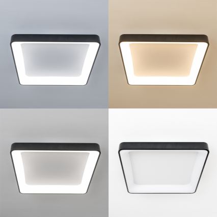 Brilagi - LED-hämardatav laevalgusti FALCON II LED/125W/230V 3000-6500K 60x60 cm must + kaugjuhtimispult