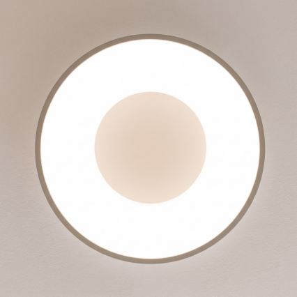 BRILAGI - hämardatav LED-laelamp FALCON II LED/67W/230V 3000-6500K läbimõõt 40 cm valge/beež + kaugjuhtimispult