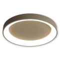 BRILAGI - LED hämardatav laelamp FALCON II LED/99W/230V 3000-6500K läbimõõt 60 cm beež + kaugjuhtimispult