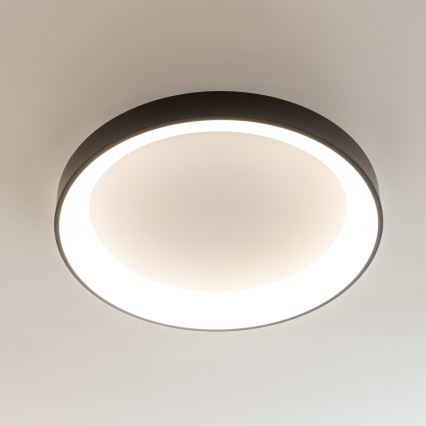 Brilagi - Hämardatav LED-laelamp FALCON II LED/99W/230V 3000-6500K läbimõõt 60 cm must + kaugjuhtimispult
