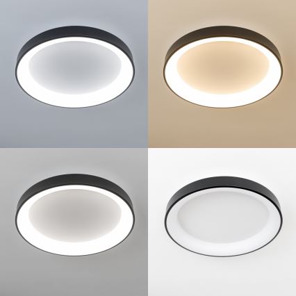 Brilagi - Hämardatav LED-laelamp FALCON II LED/99W/230V 3000-6500K läbimõõt 60 cm must + kaugjuhtimispult