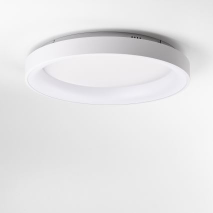 Brilagi - Hämardatav LED-laelamp FALCON II LED/99W/230V 3000-6500K Ø 60 cm valge + kaugjuhtimispult