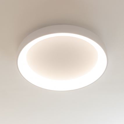Brilagi - Hämardatav LED-laelamp FALCON II LED/99W/230V 3000-6500K Ø 60 cm valge + kaugjuhtimispult
