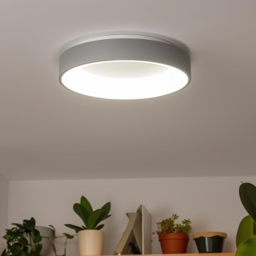 Brilagi - LED-hämardatav laelamp FALCON LED/80W/230V 3000-6500K, läbimõõt 60 cm, hall + kaugjuhtimispult