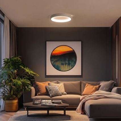 BRILAGI - LED hämardatav laevalgusti FALCON SLIM LED/42W/230V 3000-6500K läbimõõt 50 cm beež + kaugjuhtimispult