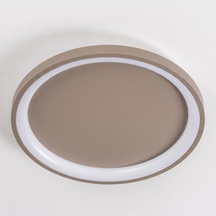 BRILAGI - LED hämardatav laevalgusti FALCON SLIM LED/42W/230V 3000-6500K läbimõõt 50 cm beež + kaugjuhtimispult