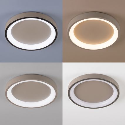 BRILAGI - LED hämardatav laevalgusti FALCON SLIM LED/42W/230V 3000-6500K läbimõõt 50 cm beež + kaugjuhtimispult