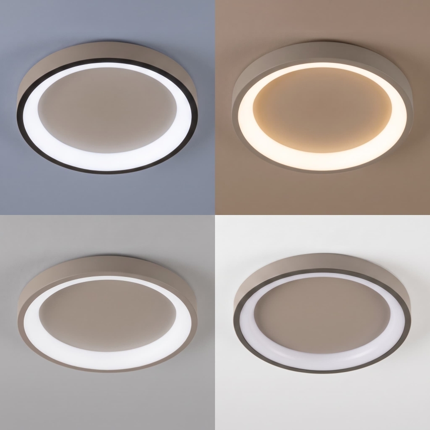 BRILAGI - LED hämardatav laevalgusti FALCON SLIM LED/42W/230V 3000-6500K läbimõõt 50 cm beež + kaugjuhtimispult