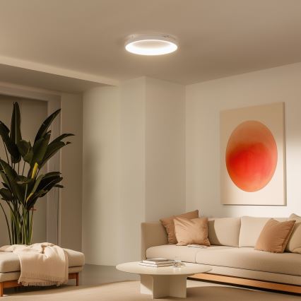 Brilagi - Hämardatav LED laelamp FALCON SLIM LED/42W/230V 3000-6500K, läbimõõt 50 cm, valge + kaugjuhtimispult