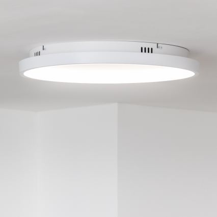 Brilagi - Hämardatav LED laelamp FALCON SLIM LED/42W/230V 3000-6500K, läbimõõt 50 cm, valge + kaugjuhtimispult