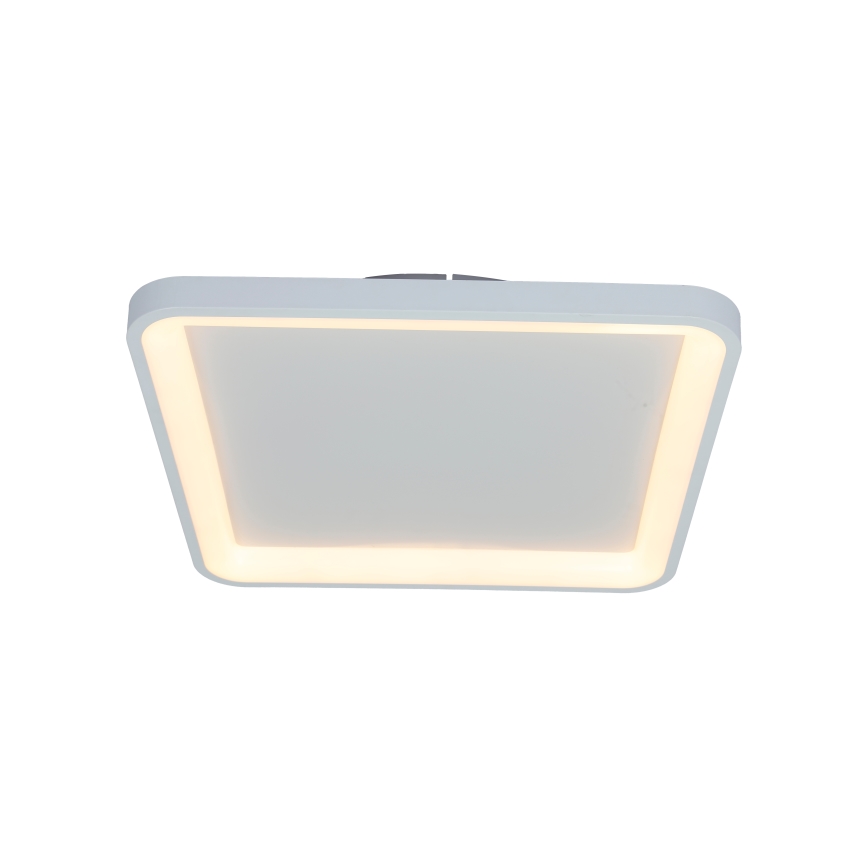 Brilagi - LED-hämardatav laevalgusti FALCON SLIM LED/50W/230V 3000-6500K 50x50 cm valge + kaugjuhtimispult
