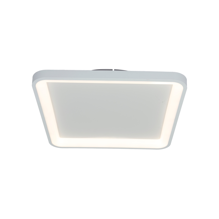 Brilagi - LED-hämardatav laevalgusti FALCON SLIM LED/50W/230V 3000-6500K 50x50 cm valge + kaugjuhtimispult