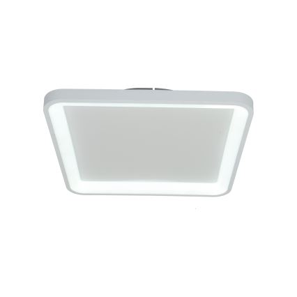 Brilagi - LED-hämardatav laevalgusti FALCON SLIM LED/50W/230V 3000-6500K 50x50 cm valge + kaugjuhtimispult