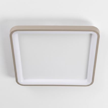 BRILAGI - LED hämardatav laelamp FALCON SLIM LED/50W/230V 3000-6500K 50x50 cm valge/beež + kaugjuhtimispult