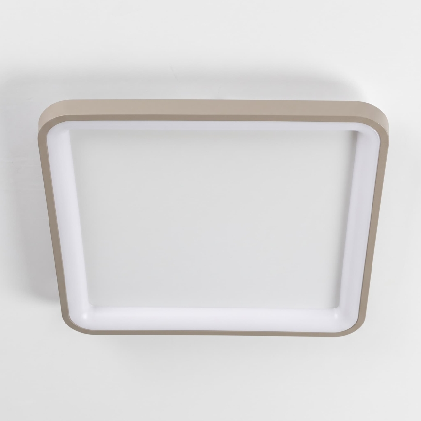 BRILAGI - LED hämardatav laelamp FALCON SLIM LED/50W/230V 3000-6500K 50x50 cm valge/beež + kaugjuhtimispult