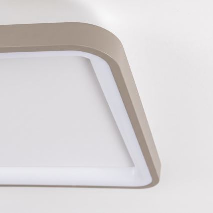 BRILAGI - LED hämardatav laelamp FALCON SLIM LED/50W/230V 3000-6500K 50x50 cm valge/beež + kaugjuhtimispult