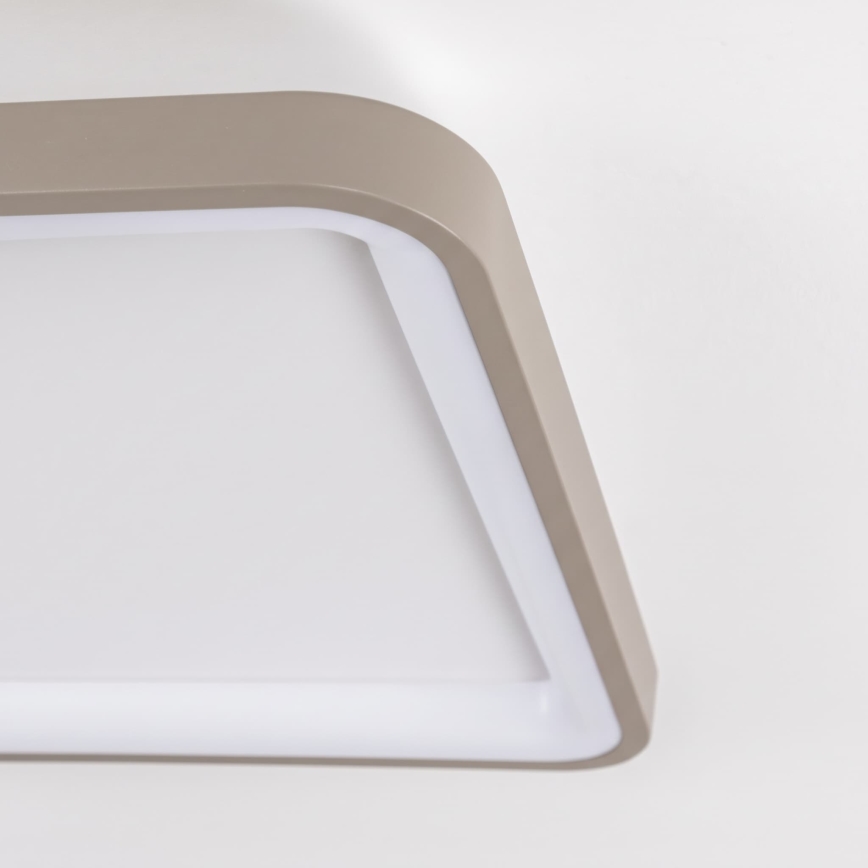 BRILAGI - LED hämardatav laelamp FALCON SLIM LED/50W/230V 3000-6500K 50x50 cm valge/beež + kaugjuhtimispult