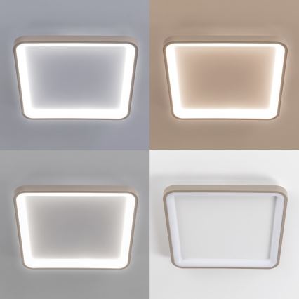 BRILAGI - LED hämardatav laelamp FALCON SLIM LED/50W/230V 3000-6500K 50x50 cm valge/beež + kaugjuhtimispult