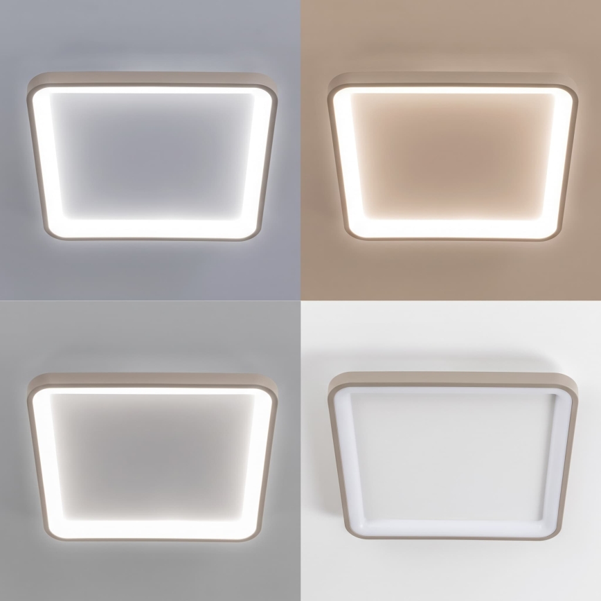 BRILAGI - LED hämardatav laelamp FALCON SLIM LED/50W/230V 3000-6500K 50x50 cm valge/beež + kaugjuhtimispult