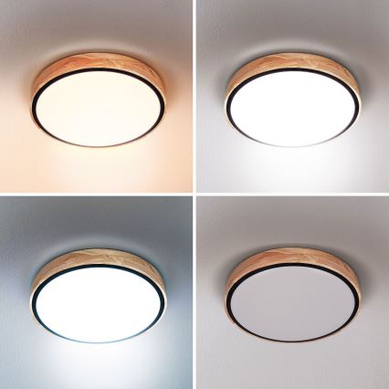 Brilagi - hämardatav LED-laelamp GLORIA LED/48W/230V 3000–6500K tamm Ø 40 cm + kaugjuhtimispult