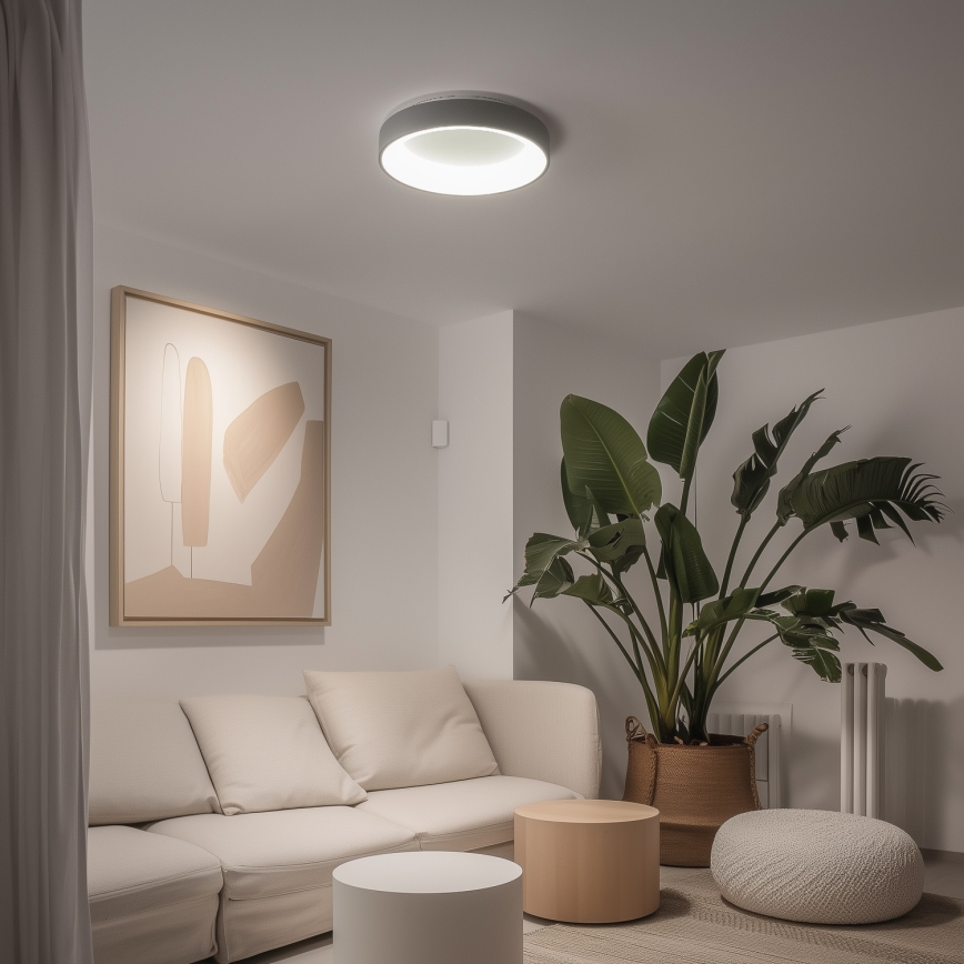 Brilagi - LED hämardatav laelamp FALCON LED/40W/230V 3000-6500K läbimõõt 45 cm hall + kaugjuhtimispult