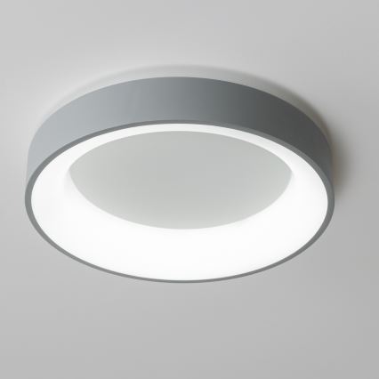 Brilagi - LED hämardatav laelamp FALCON LED/40W/230V 3000-6500K läbimõõt 45 cm hall + kaugjuhtimispult