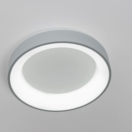 Brilagi - LED hämardatav laelamp FALCON LED/40W/230V 3000-6500K läbimõõt 45 cm hall + kaugjuhtimispult
