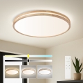 BRILAGI - LED hämardatav laelamp MOLINA LED/100W/230V 3000-6000K tamm läbimõõt 80 cm + kaugjuhtimispult